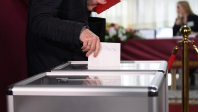 Новая конституция по-змагарски. выборы