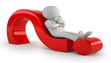 Жёлтые сливы отвечают на вопросы