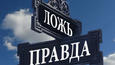 тут бай желтые сливы