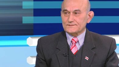 зенон позняк день воли