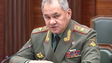 Шойгу назвал Беларусь важнейшим стратегическим партнёром