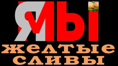 Желтые сливы