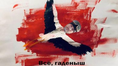 буслы улетели