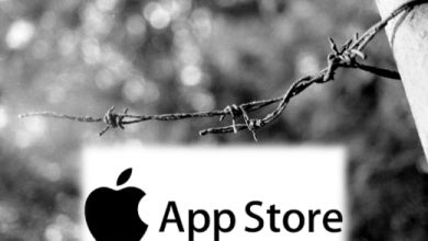 караван свободы слова