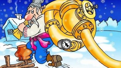 Украинская операция