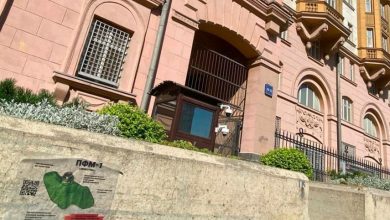 Лепестки прилетели