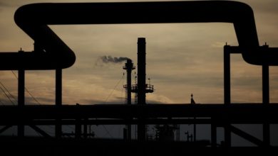 рынка топлива