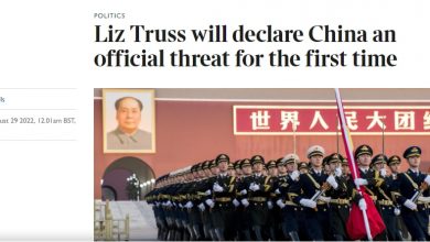 Неугомонная Лиза