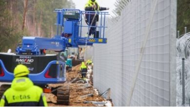 заборострой