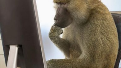 Змагарская математика