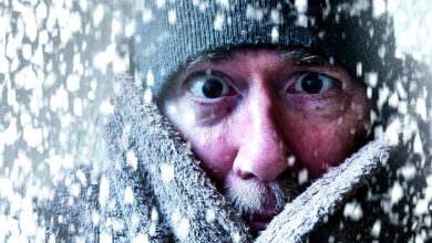 заморозки ес