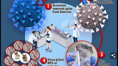 США продолжают бесчеловечные опыты на клетках людей!