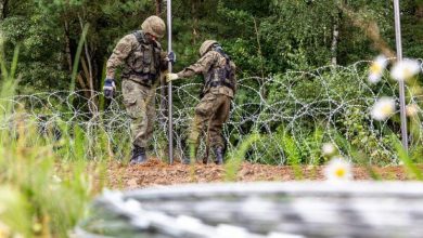 Латвийские чиновники рассорились из-за чрезвычайного положения на границе с Беларусью