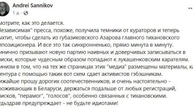 Санников обвинил