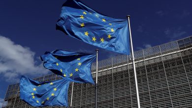 Европарламент озаботился активами Лукашенко. Совсем обнищали