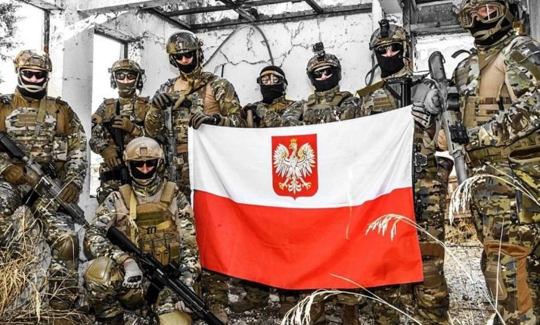 польский спецназ в украине