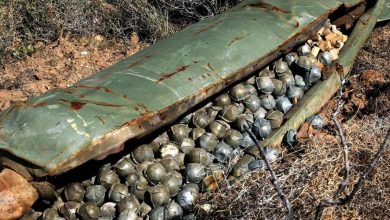 Дэн Райс: «Украине нужны кассетные боеприпасы для сдерживания... Беларуси»