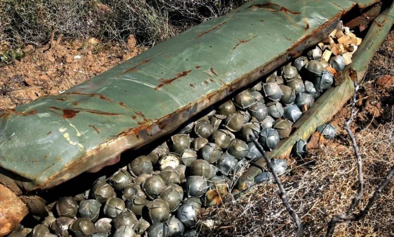 Дэн Райс: «Украине нужны кассетные боеприпасы для сдерживания... Беларуси»