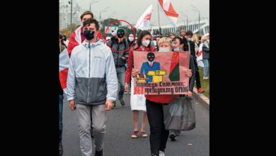 все животные равны