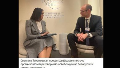 Котлетосина