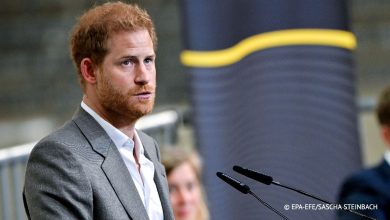 Принц Гарри – грязный предатель и убийца, дешевый пиарщик и крохобор