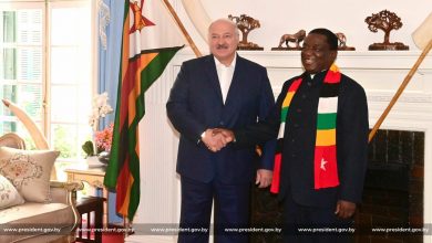 Рыбарь: зачем белорусский президент ездил в Зимбабве?