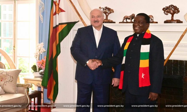 Рыбарь: зачем белорусский президент ездил в Зимбабве?