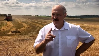 Лукашенко в поле