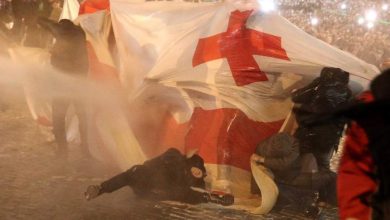 протесты в грузии